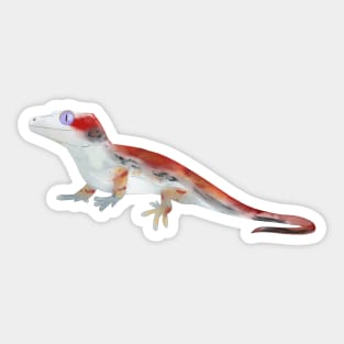 Gargoyle Gecko, Crested Gecko, Gecko Lovers Sticker